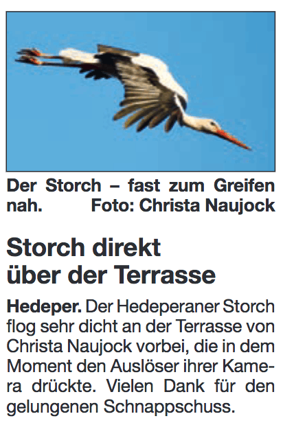 WF-SF_2018-05-08_Storch-ueber-Terasse