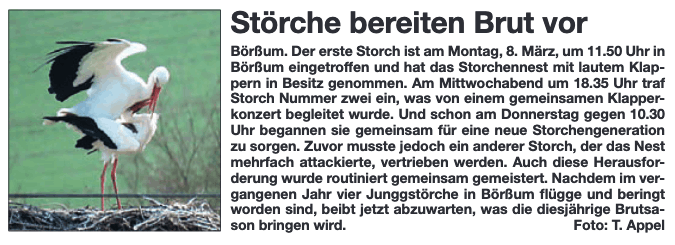 Wolfenbüttler-Schaufenster vom 14.03.2021