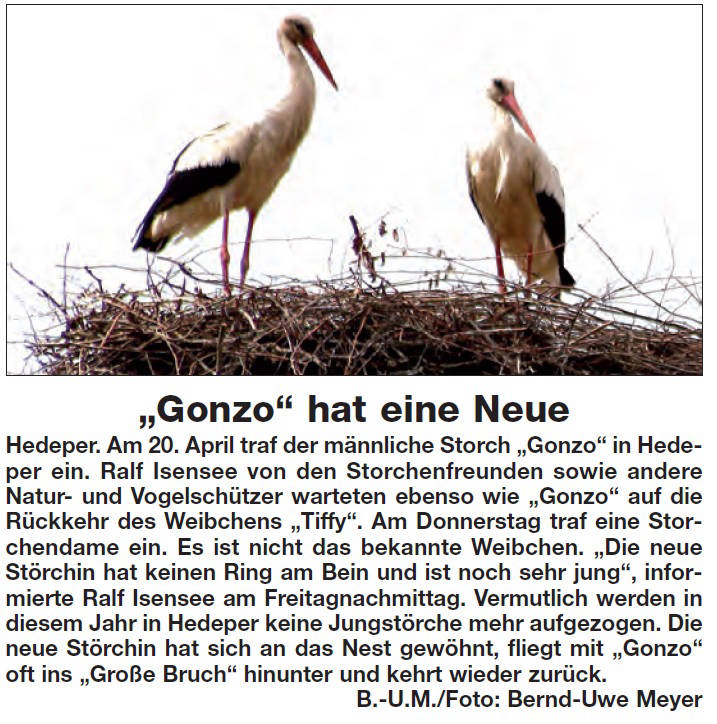 WFSF_20130526_Tiffy_hat_Neue2